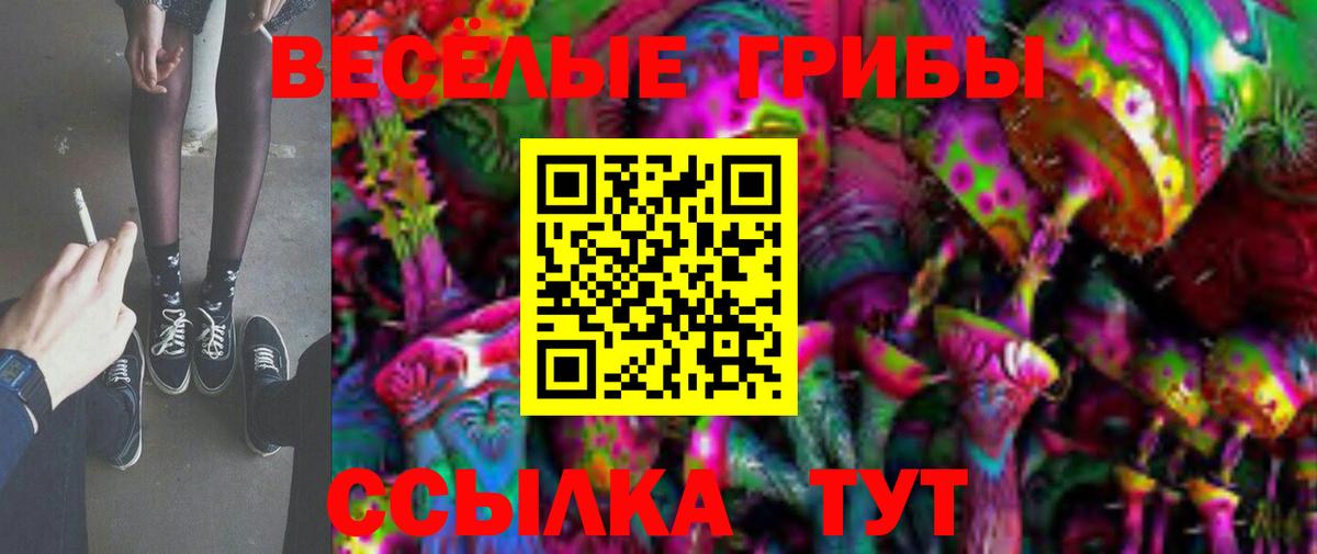Нефтекумск  Галлюциногенные грибы Cubensis  Вход с VPN 