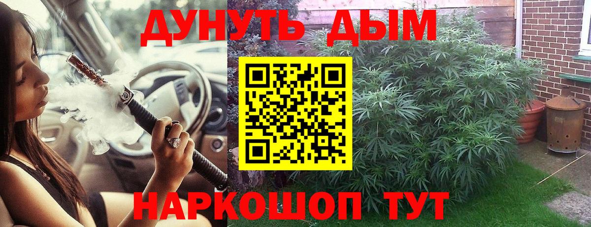Бошки марихуана марихуана Нефтекумск